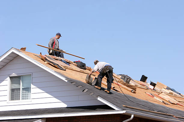 Roof Insulation in Eclectic, AL
